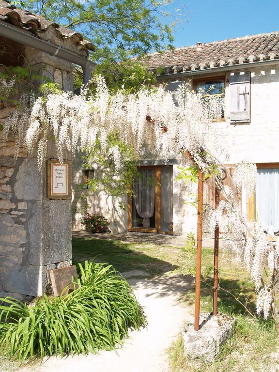La Vayssade - Maison d'Hôtes - Jacuzzi, Piscine&Truffes Lalbenque Exterior foto